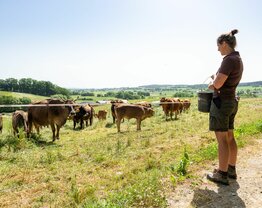 img-de-landwirtschaft-landluft