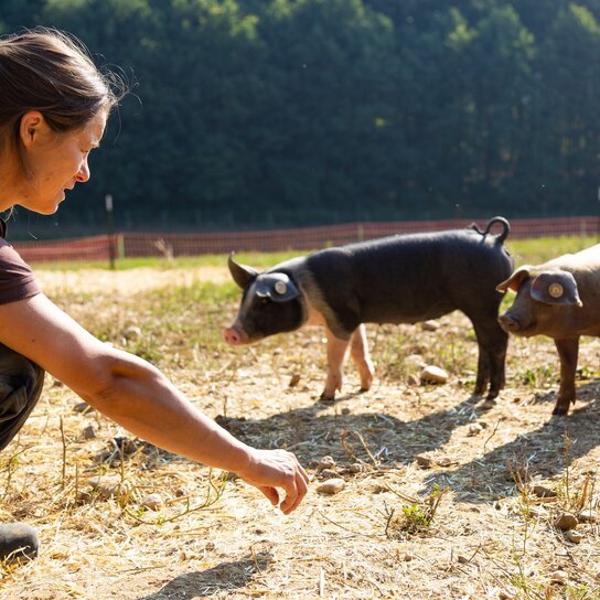 jobs_ausbildung_landwirtschaft