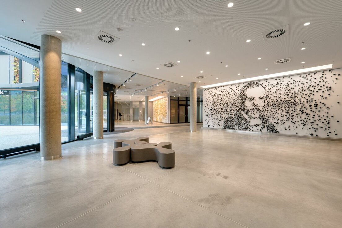 img_cze_afi_butterfly_1