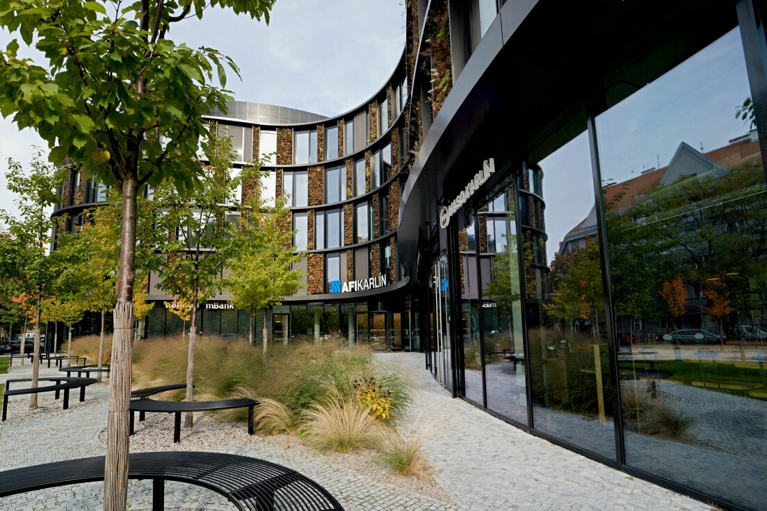 img_cze_afi_butterfly_7