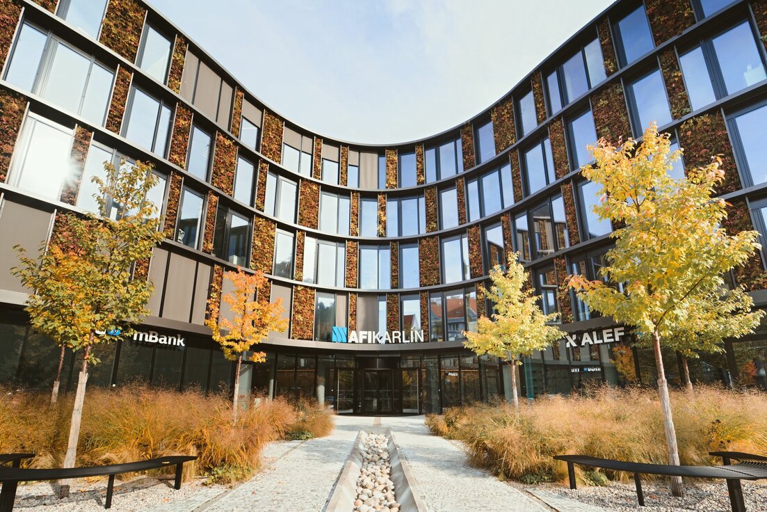 img_cze_afi_butterfly_12