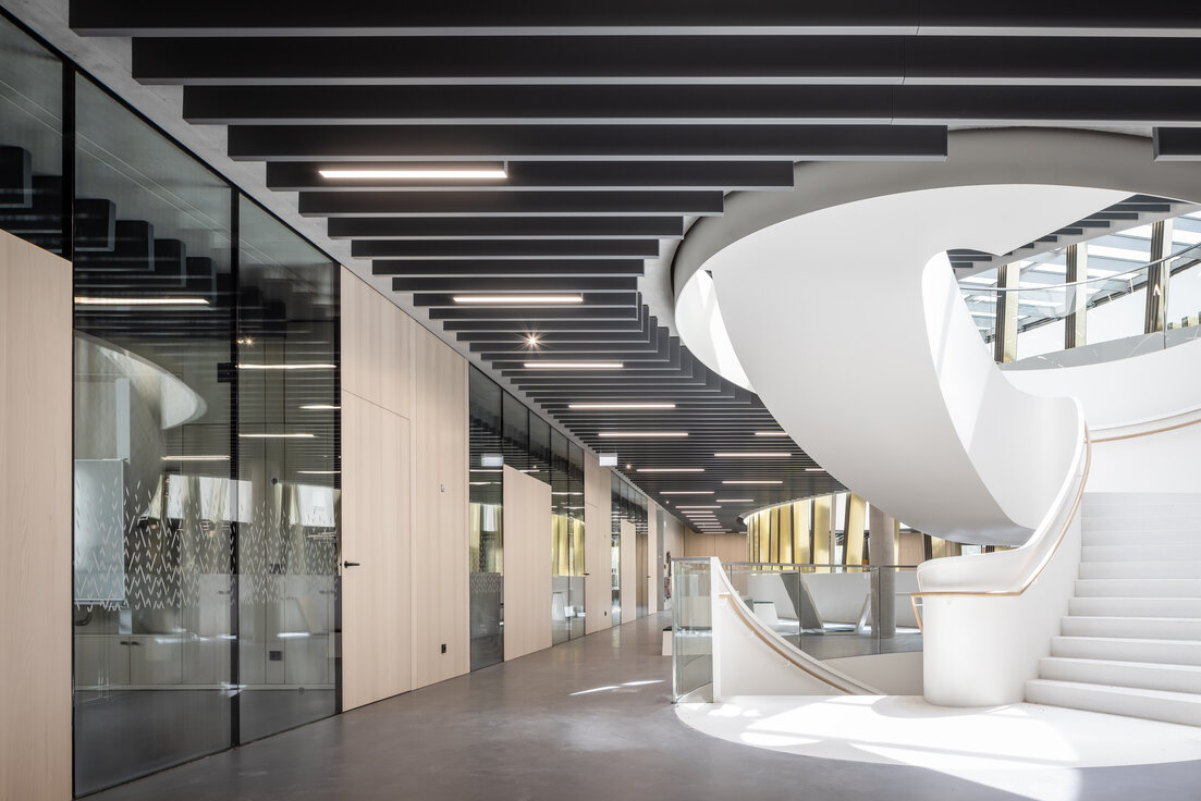 img_de_maria_ward_5_1