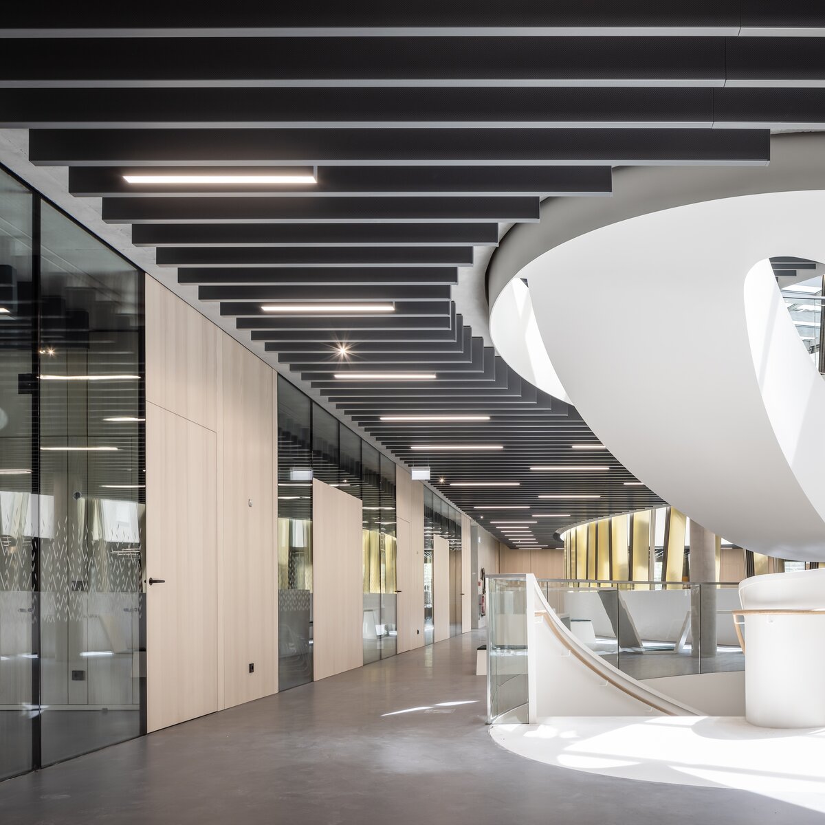 img_de_maria_ward_5_1