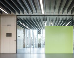 img_de_maria_ward_9_1