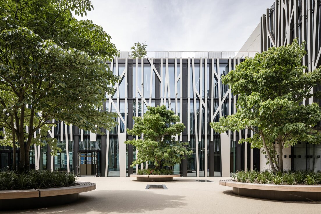 img_de_maria_ward_29_1