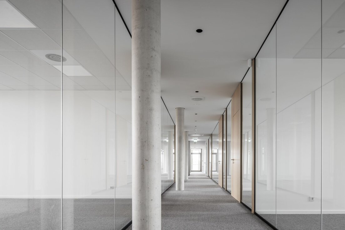 img-de-css-egecko-kuenzell-28