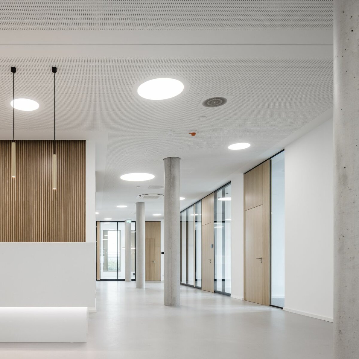 img-de-css-egecko-kuenzell-16