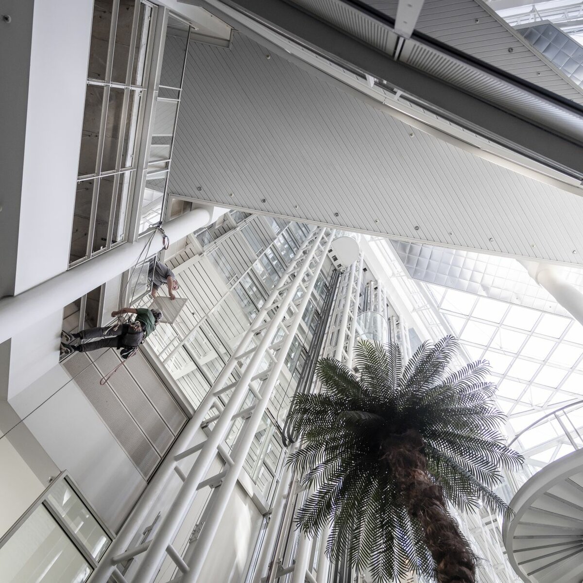 img-de-ergo-versicherungen-demontage-15