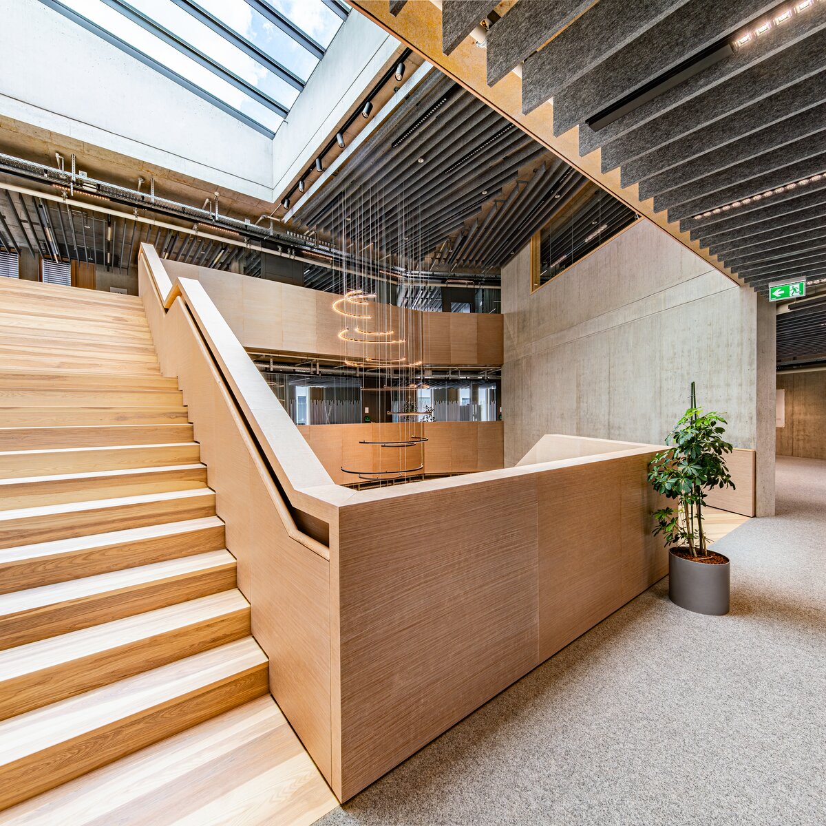 Weitläufiger Holztreppenaufgang im DACHSER Network Campus mit MUTE+® Akustikbaffeln, moderner Pendelleuchte und hellem Lichthof | © © Fotostudio Sienz