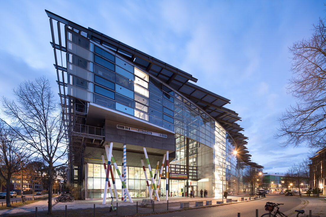 © © Friedemann Steinhausen