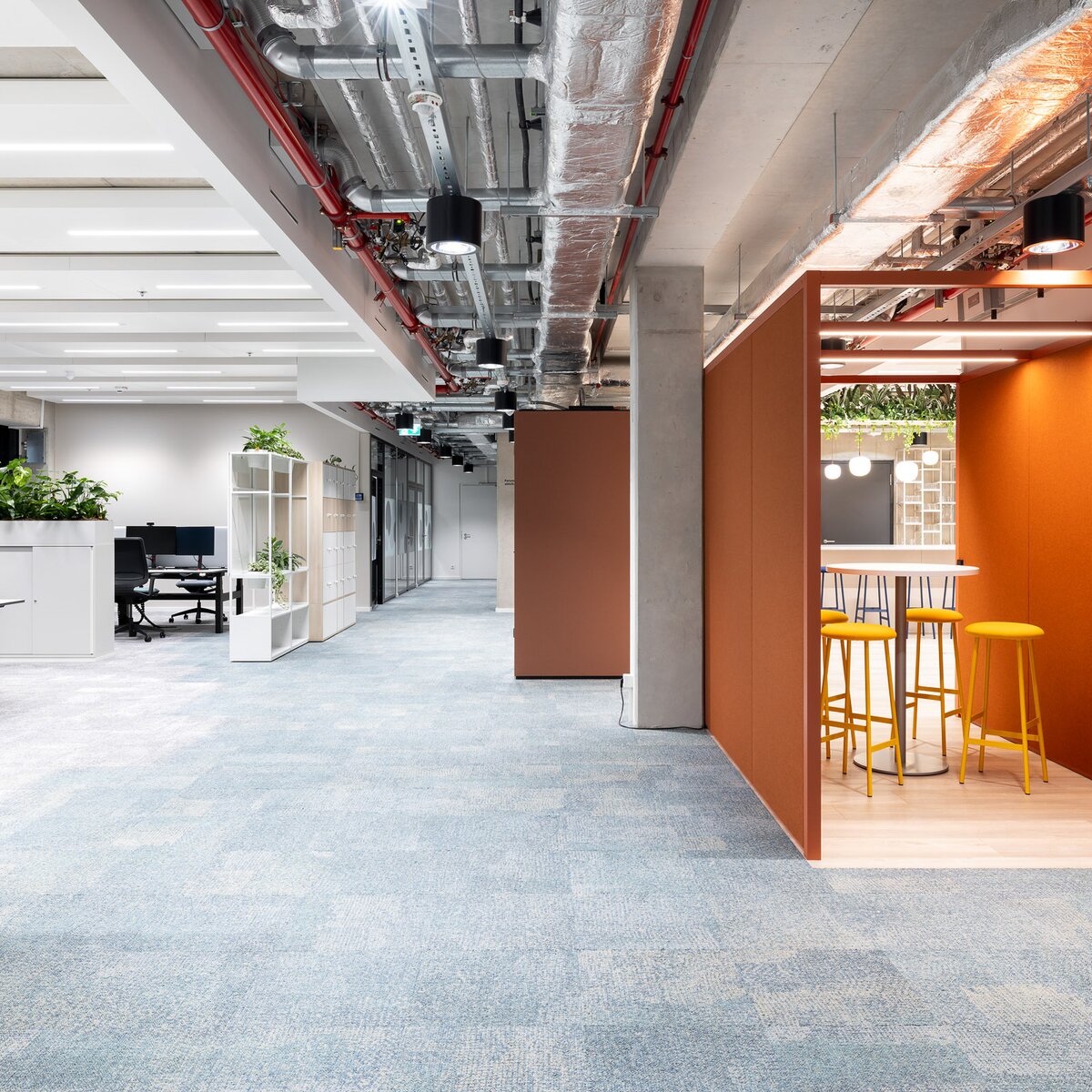 © © Nikolay Kasakov 