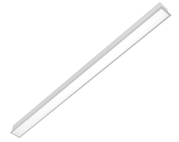 Line 50 Render neu